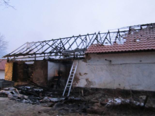 Resize of IMG_0020.jpg