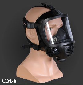 CM6-2.jpg