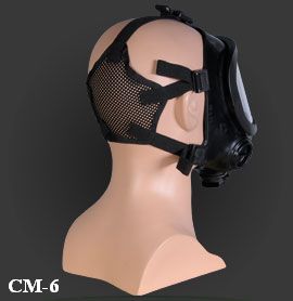 CM6-3.jpg