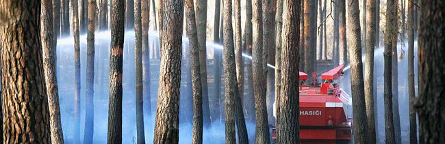 Požár lesa u Bzence - foto Irena Janotová