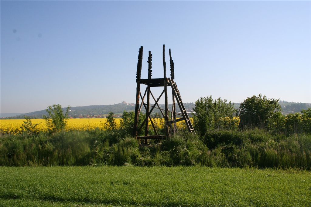 6 pozar posed drozdin (6).JPG