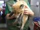 Nová složka/P1130252.jpg