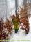 DSCN0523.jpg