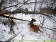 DSCN0527.jpg