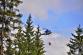 26 _DSC0584.JPG