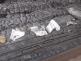 pozarbleskchatkaOpava (6).jpg