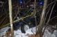 DN_Bustehrad/DSC_9627.jpg