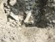 uniukplynpotrubievakuaceLudgerovice (OP) (1).jpg
