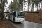 3 Spadlý strom na bus, Plešovice - 31. 3. 2015 (1).JPG