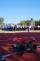 1 DSC06544.JPG