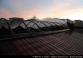 4 20170326C_mev_Kr004.JPG