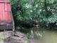 jasanStudenka (1).jpg