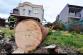 vitrsmrkOstravaMH (7).jpg