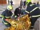 Zámek Hluboká 2019 (38).jpg