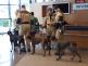 WhatsApp Image 2020-08-05 at 15.33.29 (1).jpeg