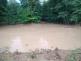 1309_bourky_dzbel (19).jpeg