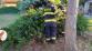2025_07_23_ZOZ_LN_Louny 02.jpg