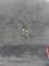 2025_11_12-P_MO_Růžodol (35).jpeg