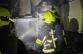 PLI_117T-2026_04_21-5cae9d19 - kopie.jpeg