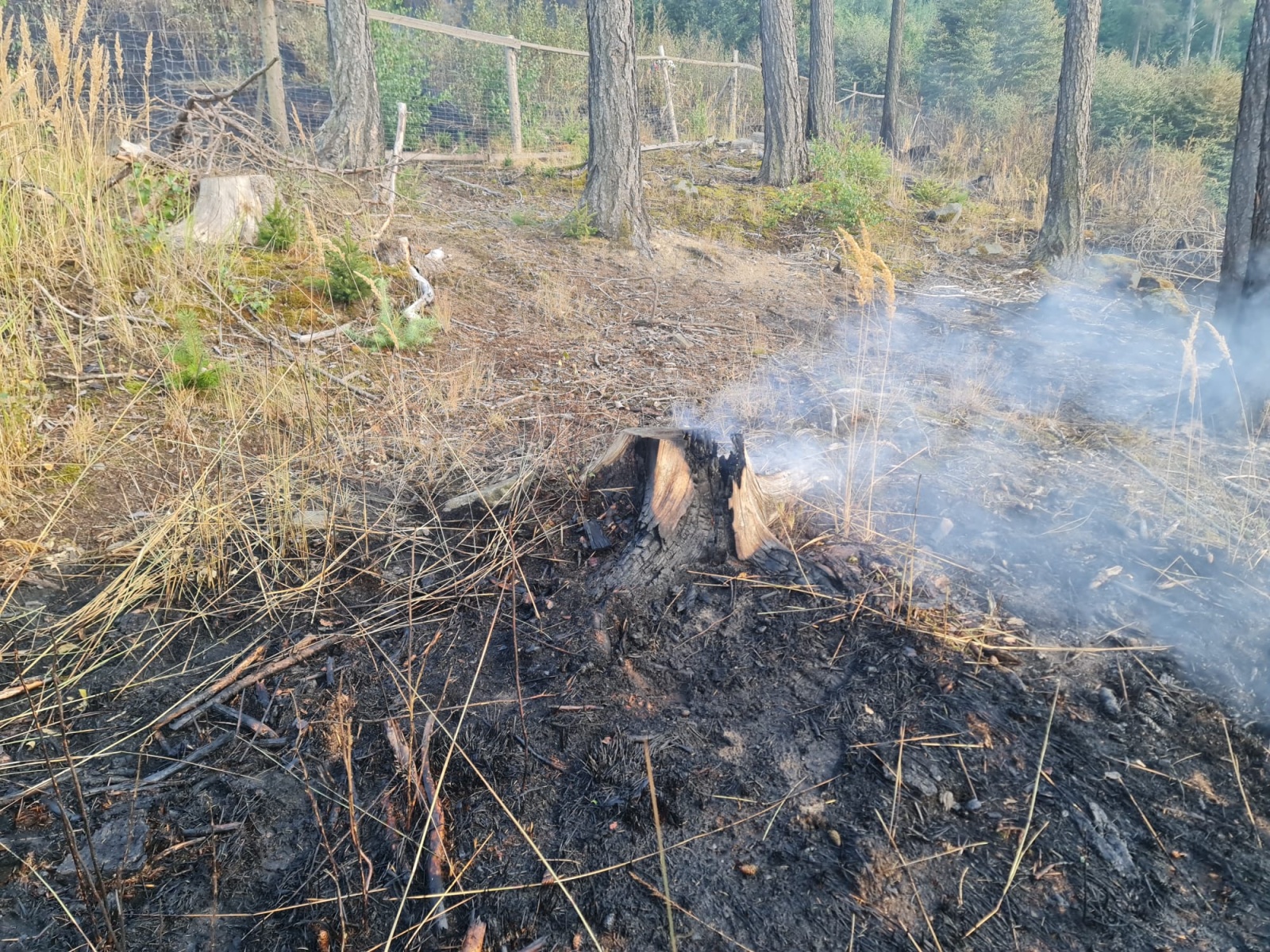 002-Rozsáhlý požár lesa u Pyšel na Benešovsku.jpeg