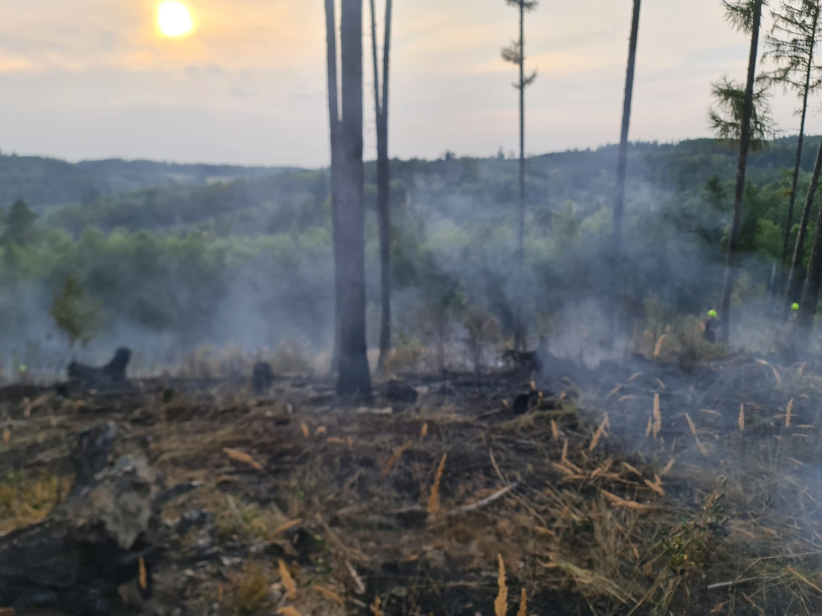 004-Rozsáhlý požár lesa u Pyšel na Benešovsku.jpeg