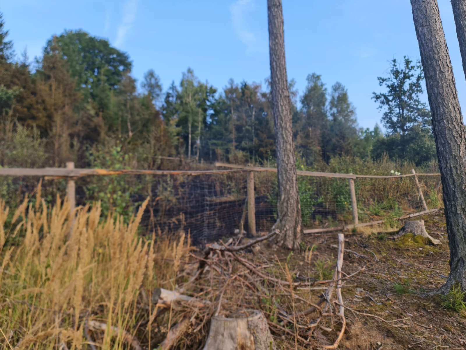 005-Rozsáhlý požár lesa u Pyšel na Benešovsku.jpeg