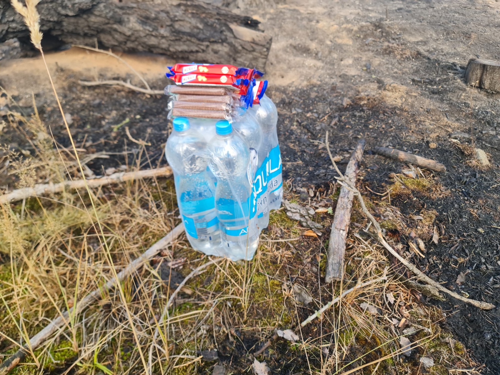 006-Rozsáhlý požár lesa u Pyšel na Benešovsku.jpeg