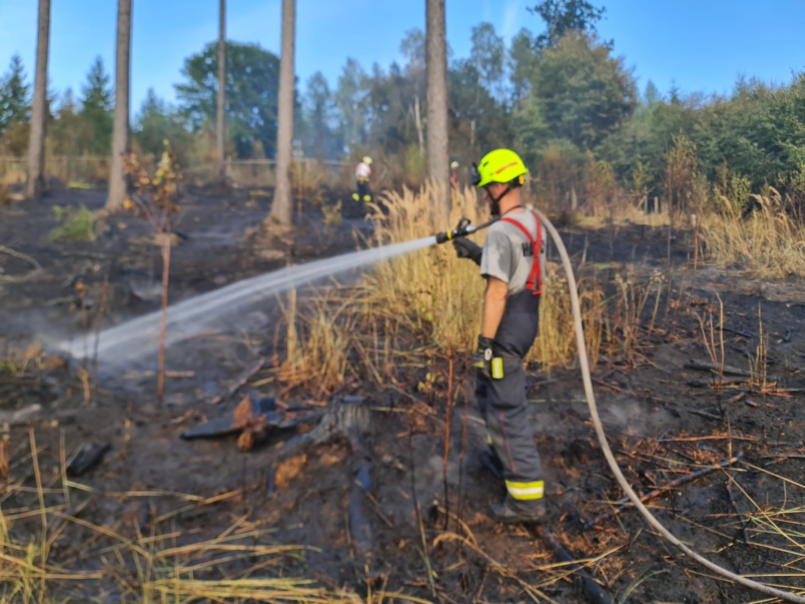 008-Rozsáhlý požár lesa u Pyšel na Benešovsku.jpeg