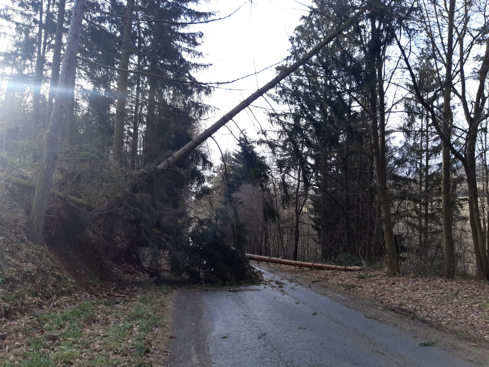 012-Vysoký Chlumec na Příbramsku-dva spadlé stromy přes vozovku.jpg