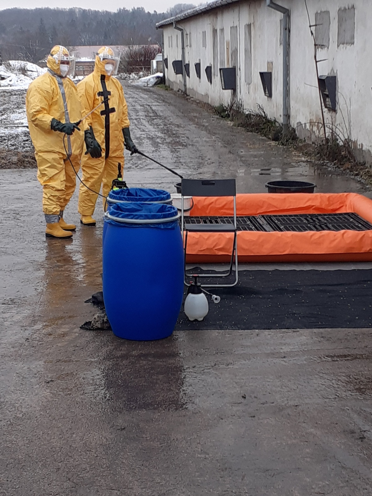 016-Likvidace chovu kachen na farmě v Lánech na Kladensku.jpg