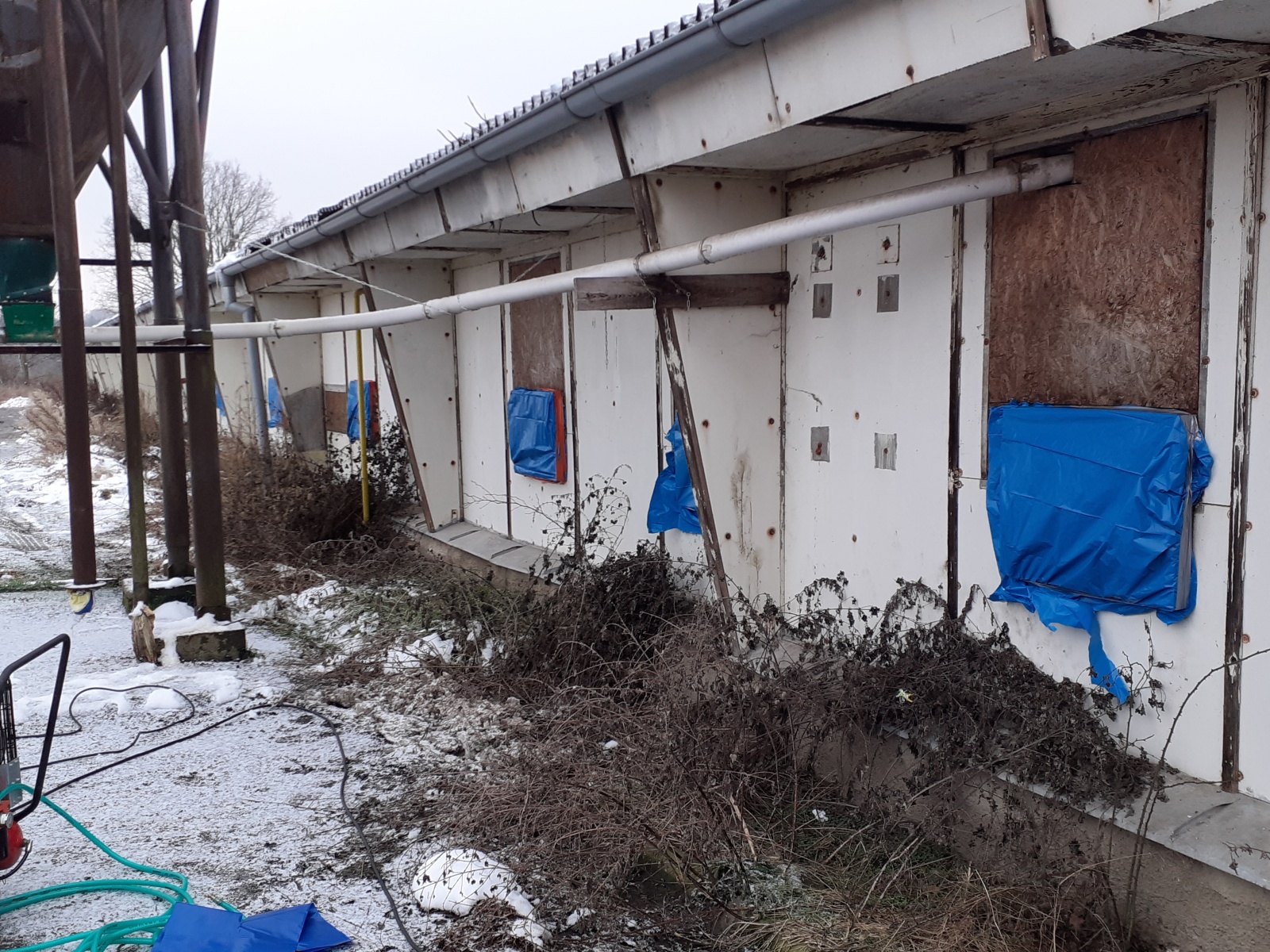 017-Likvidace chovu kachen na farmě v Lánech na Kladensku.jpg