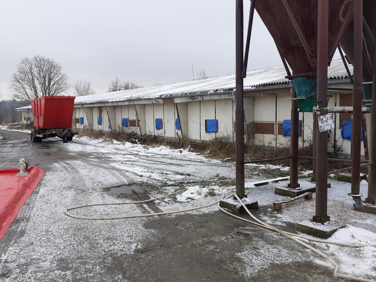 018-Likvidace chovu kachen na farmě v Lánech na Kladensku.jpg