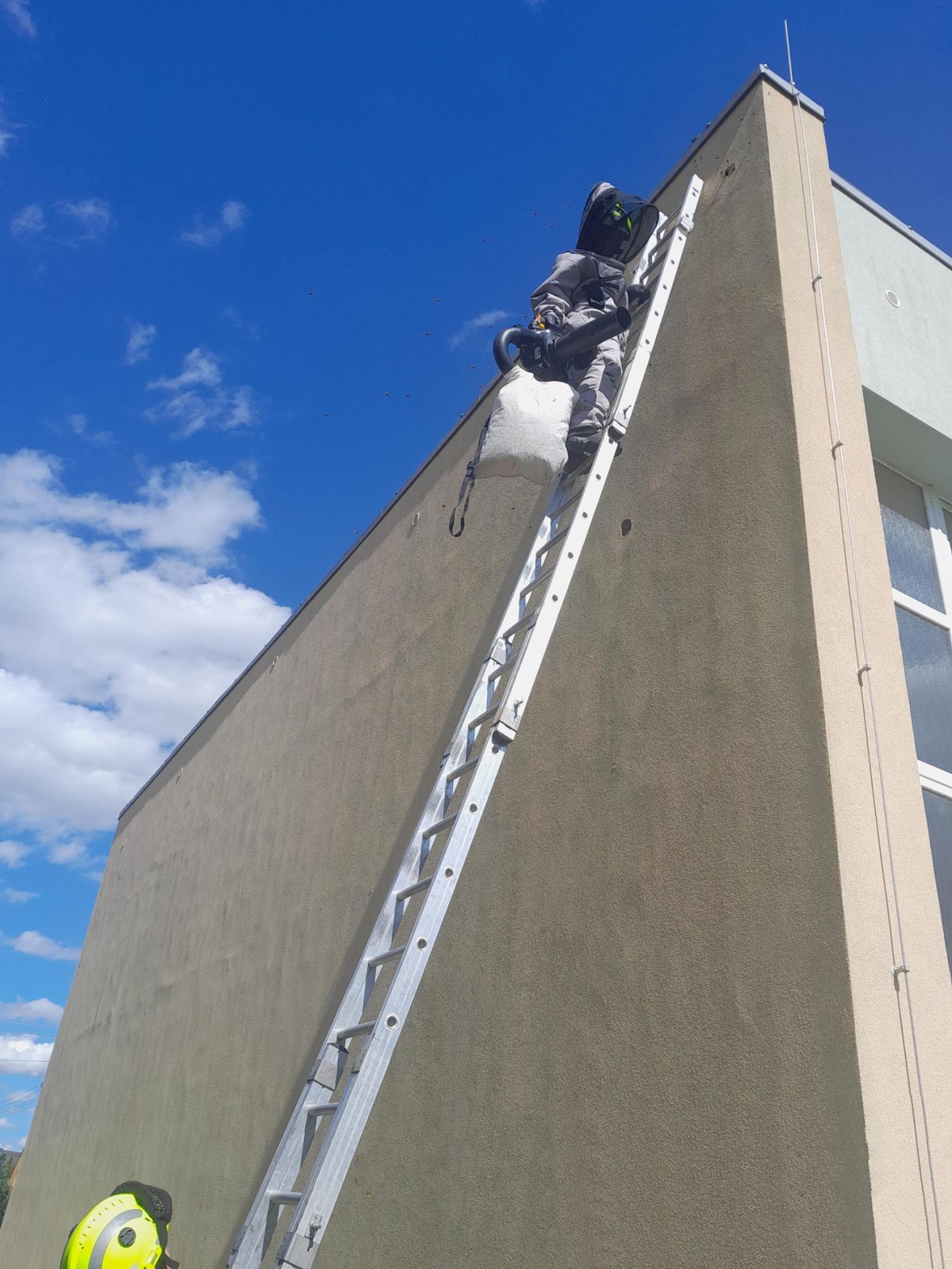 030925-Likvidace sršního hnízda z budovy základní školy v Lobečku v Kralupech na Vltavou.jpg