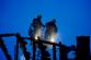 03_vyber_foto_brezen (2)