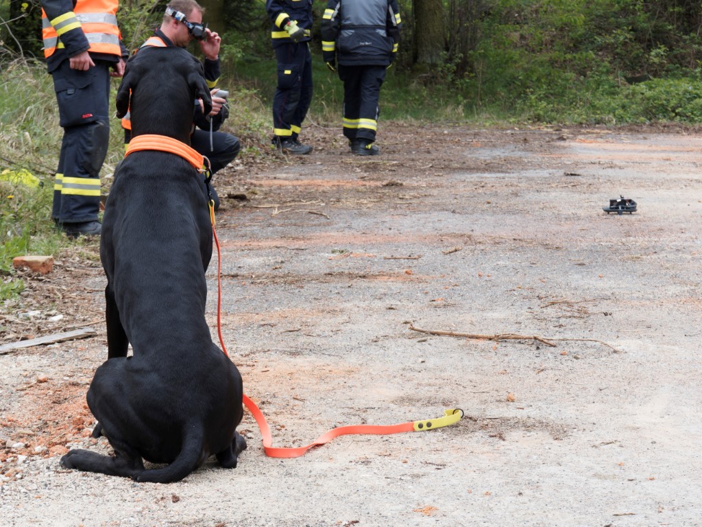 057-Cvičení složek IZS zaměřené na záchranu osob po destrukci objektu.jpg