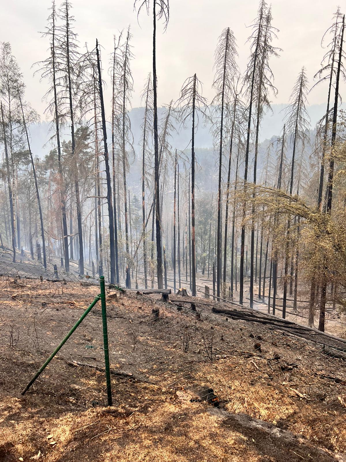 067-Požár v Národním parku České Švýcarsko.jpg