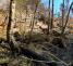 0908_odrad_4_ol (4)