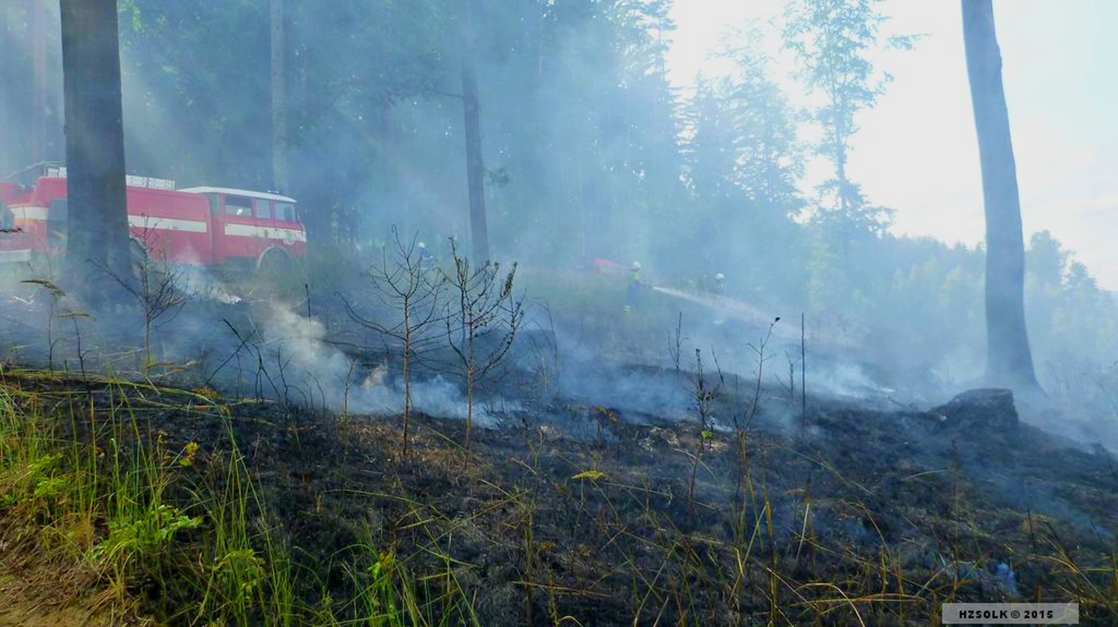 1 16-6-2015 Požár lesní porost Dlouhomilov (1).JPG
