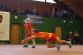 1 DSC01471