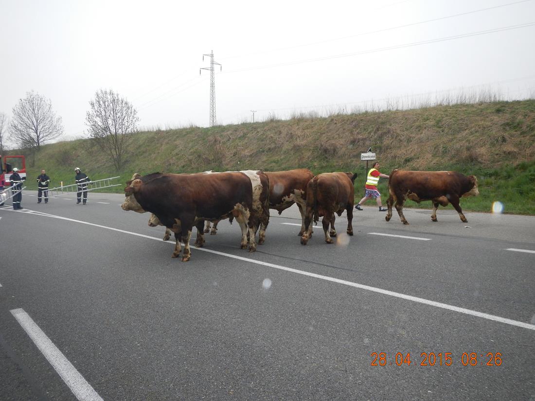 1 Dopravní nehoda NA, Dolní Hořice -  28. 4. 2015 (2).jpg