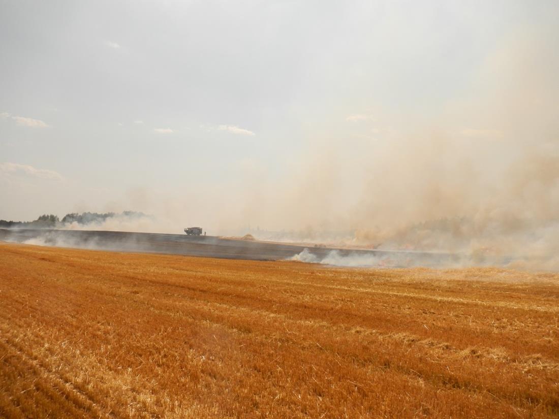 1 Požár pole, Kučeř - 7. 7. 2015 (3).JPG