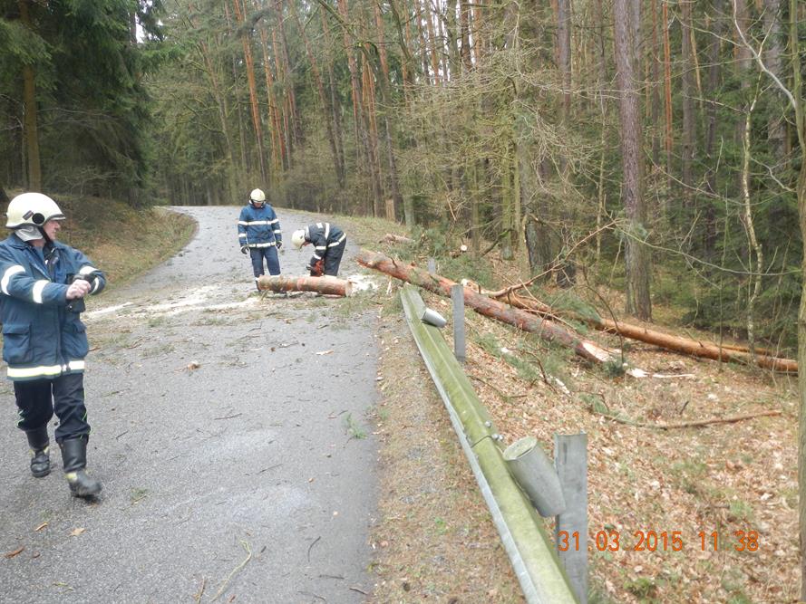 1 Spadlé stromy na Strakonicku - 1. 4. 2015 (2).JPG