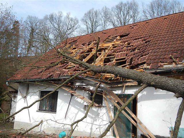 1 Spadlý strom na dům, Plavsko - 17. 3. 2015 (1).jpg