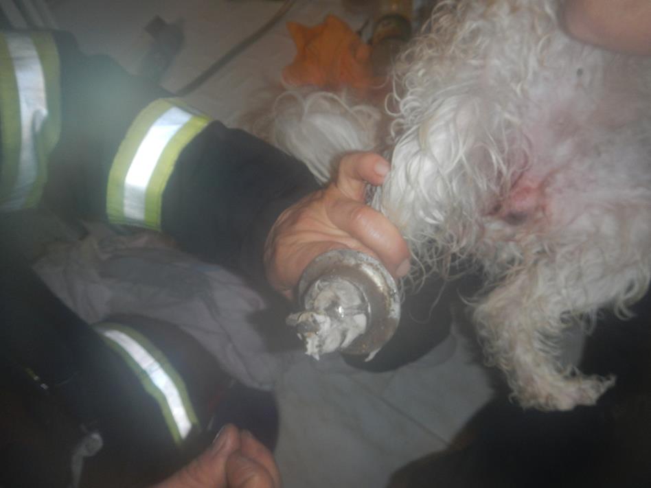 1 Záchrana pejska, Třeboň - 29. 2. 2016 (1).JPG