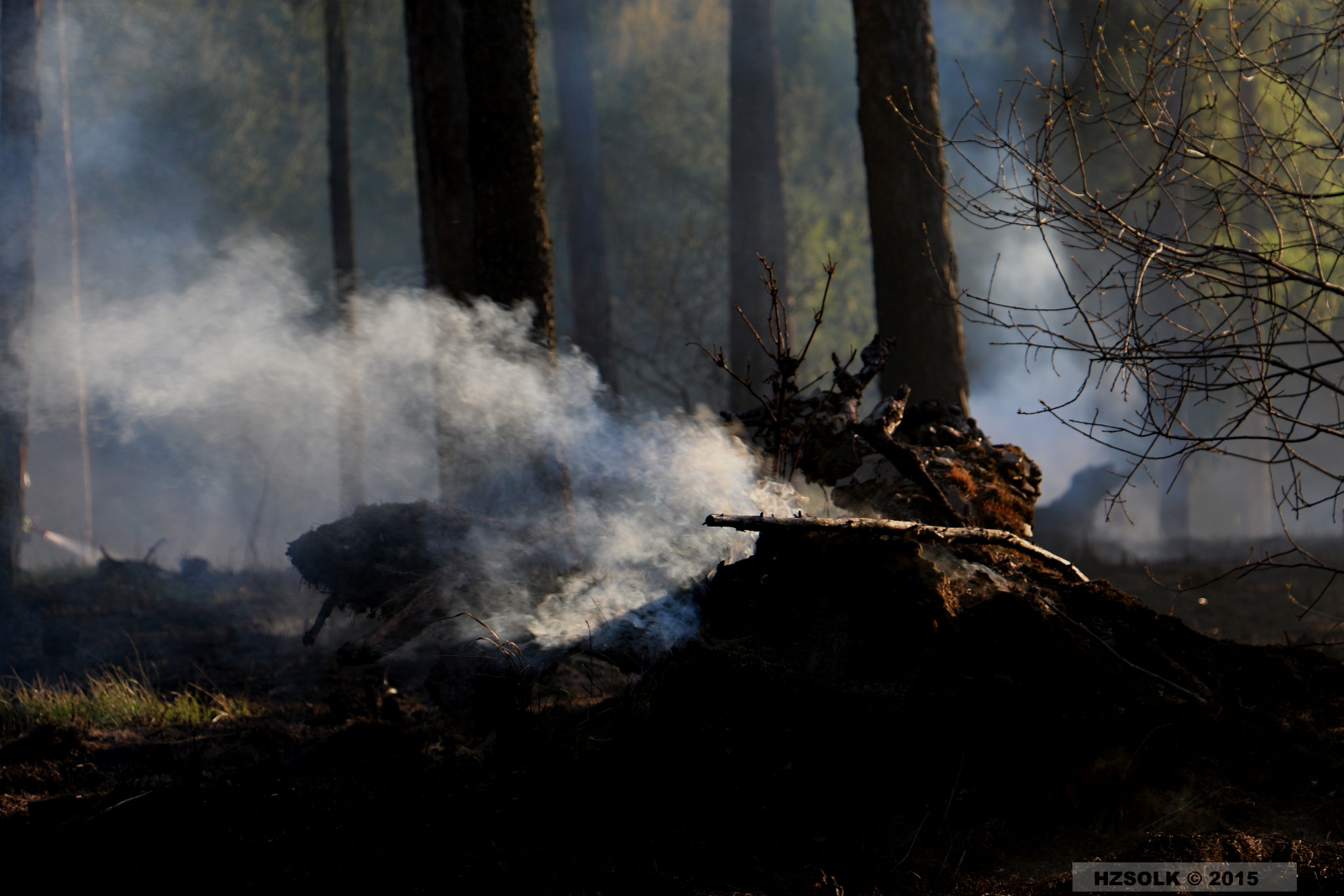 10 21-4-2015 Požár lesa Náměšť na Hané (18).JPG