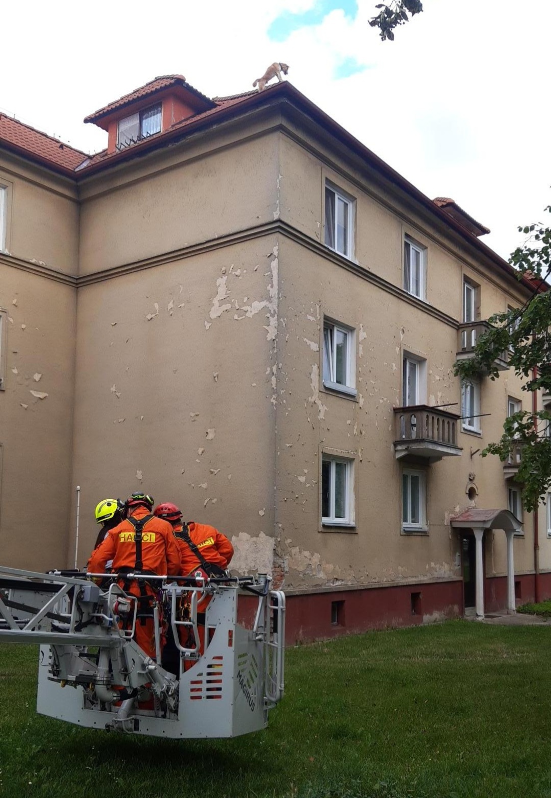 101-Záchrana psa ze střechy bytového domu ve Stochově.jpg