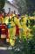 11 DSC06341
