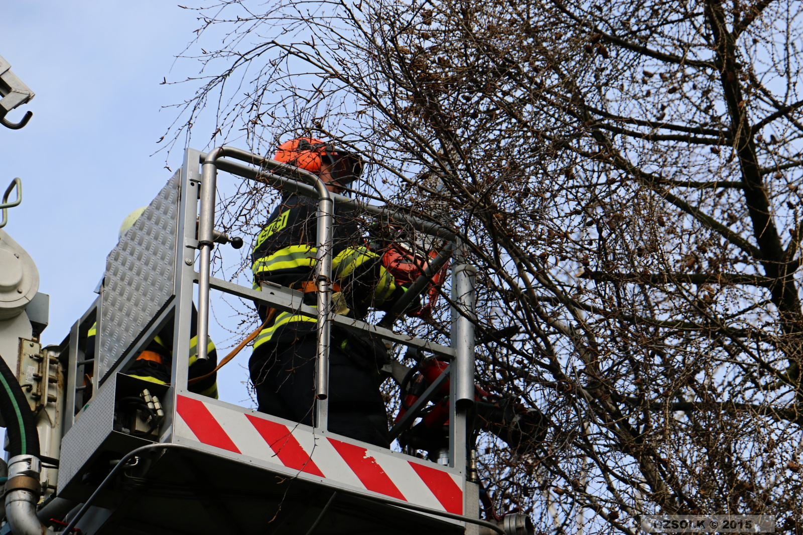 11 TP_Olomouc_Jilova_1-4-2015 odstranění stromu Olomouc (19).JPG