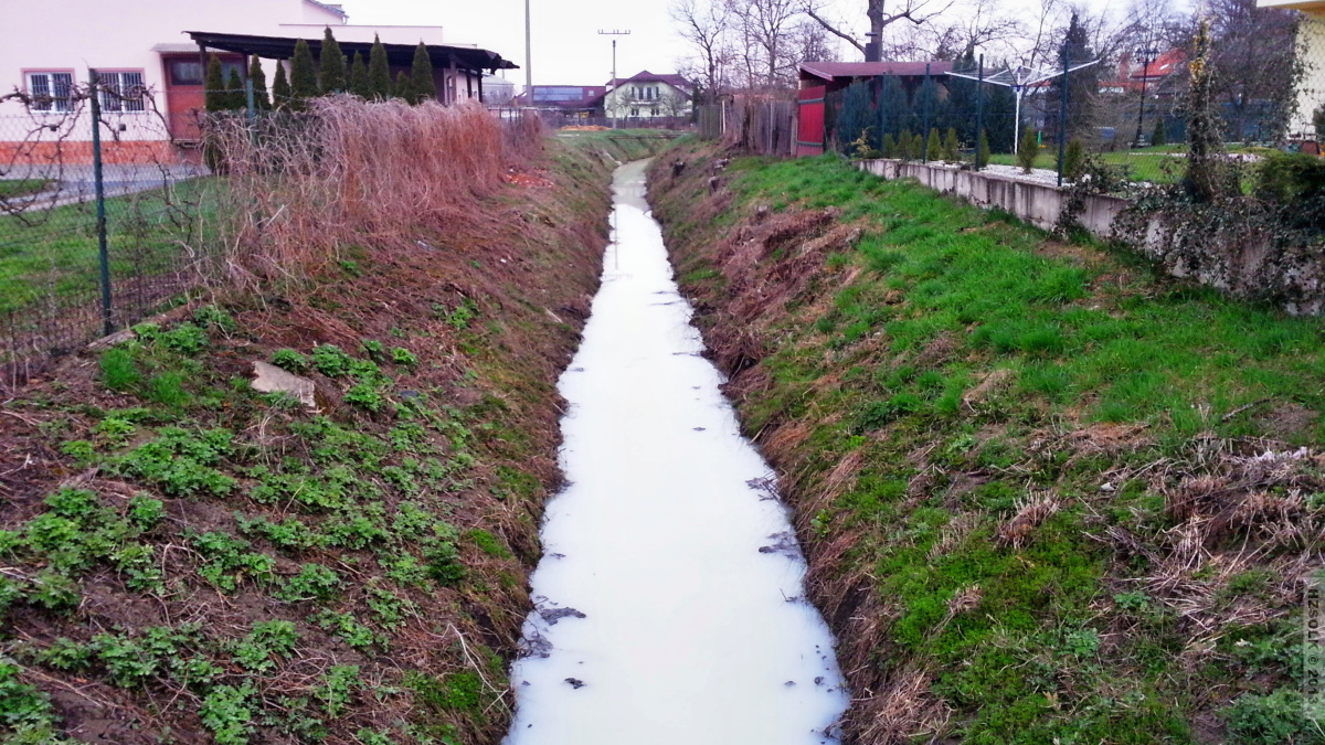 13 20130417_073526.jpg