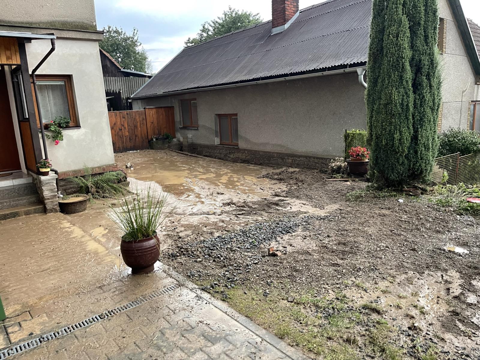 1309_bourky_dzbel (1).JPEG